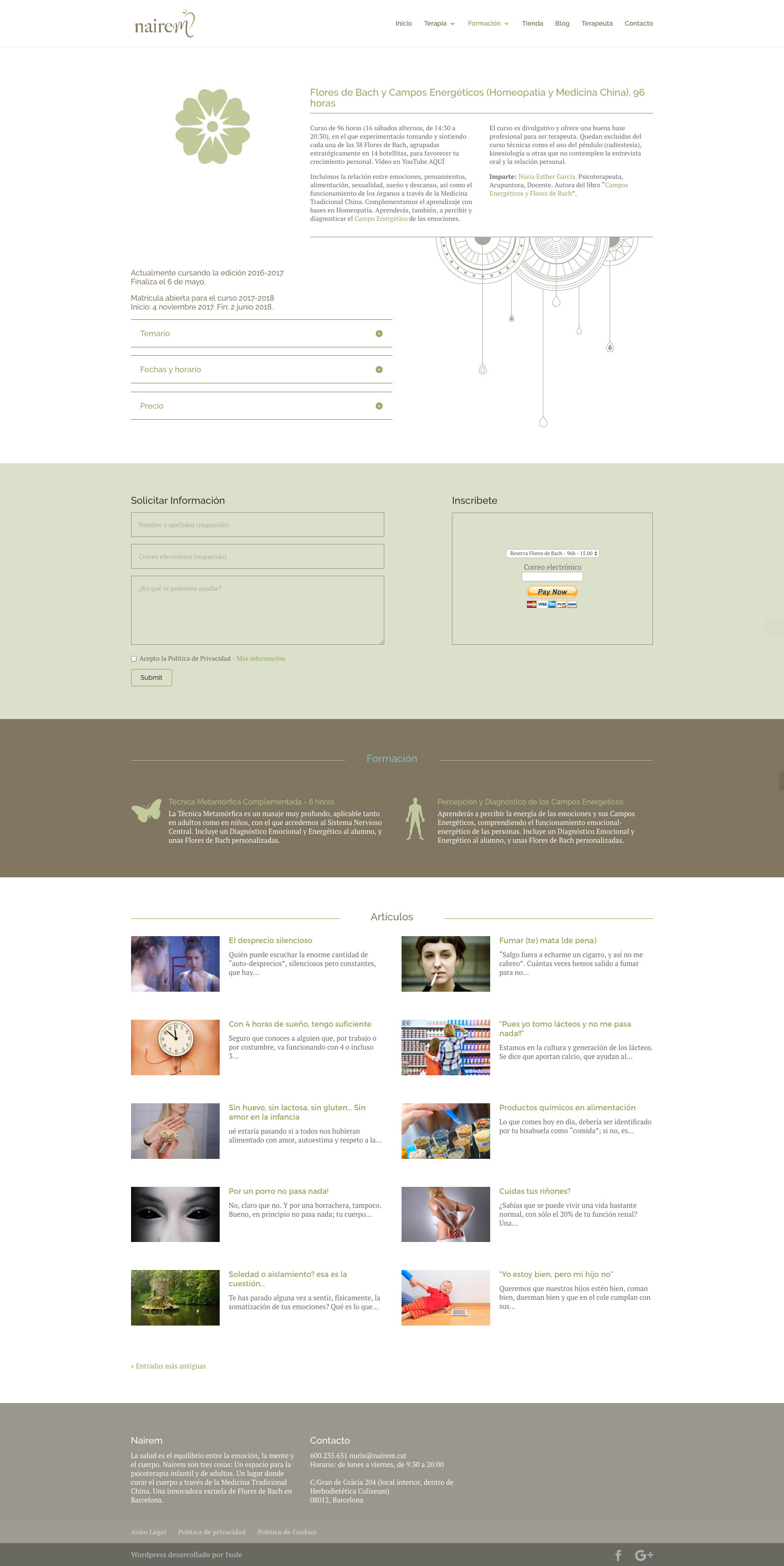 Diseño web WordPress para Nairem