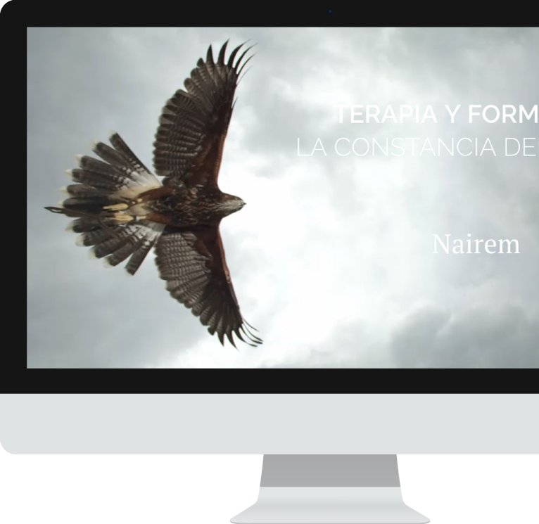 Diseño web WordPress para Nairem